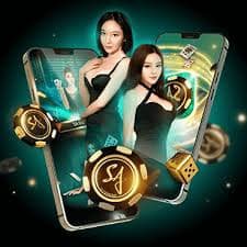 qq8827 com